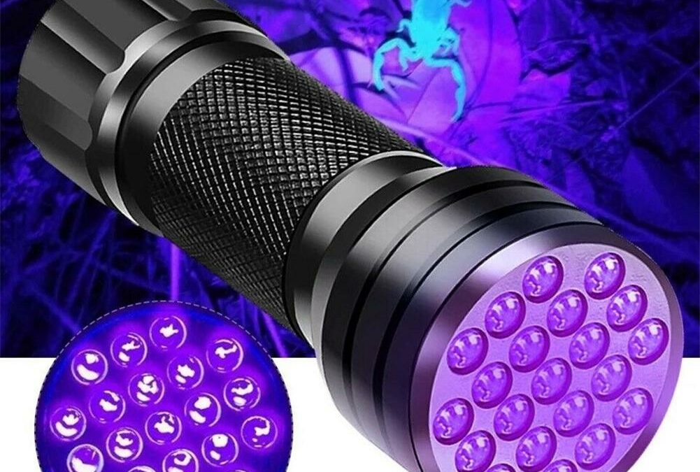Uv Flashlight Pet Urine Stain Detector Multi-Functional Tools Home Outdoor Mini Flashlight Ultraviolet Lamp Portable Lighting
