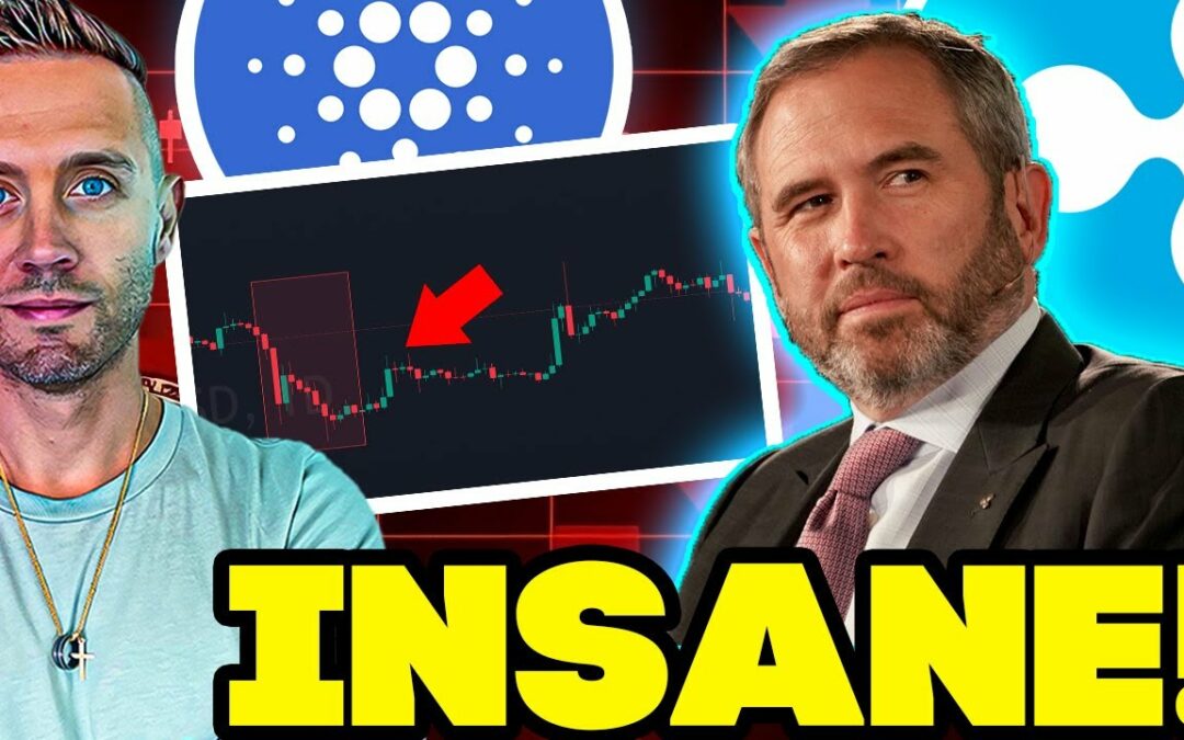 CARDANO Holders, Eyes on XRP NOW! Here’s Why!