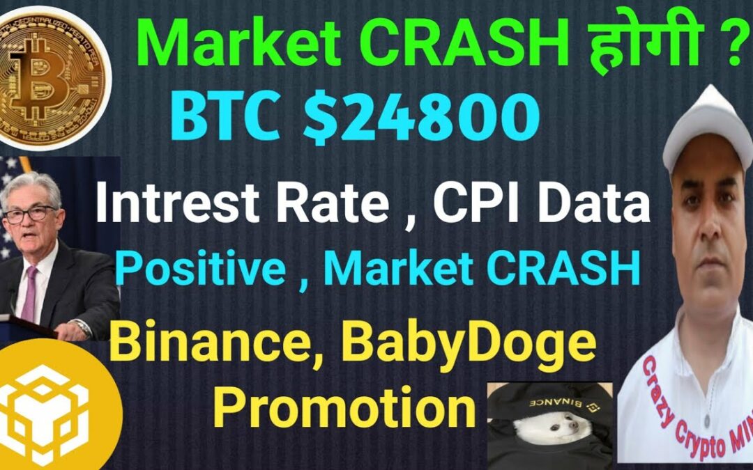 Market CRASH ,BTC $24800 || FOMC INTREST Rate Pause || Binance baby doge || Crazy crypto MINTOO