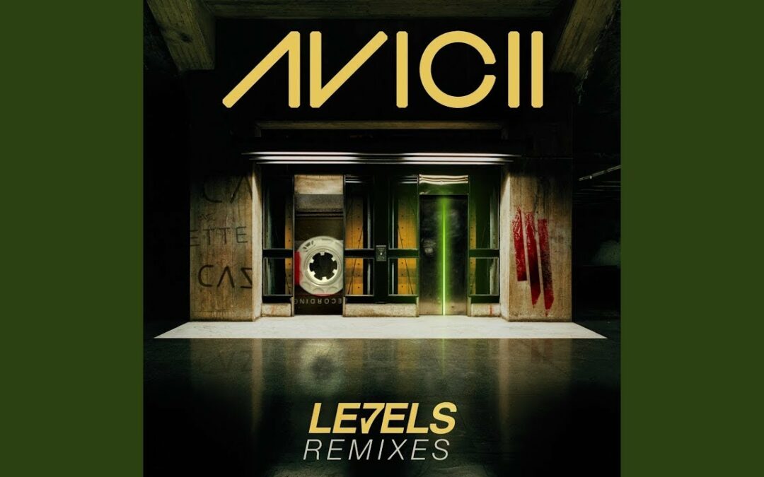 Avicii 'Levels' Skrillex Remix Cover