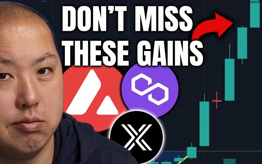 DON'T MISS THESE HOT CRYPTO ALTCOINS! | Bitcoin Update