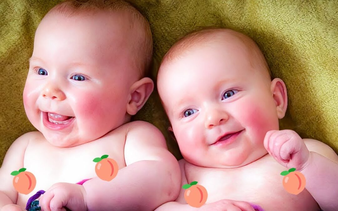 Funniest Twin Babies Compilation - Funny Baby Videos | BABY BROS
