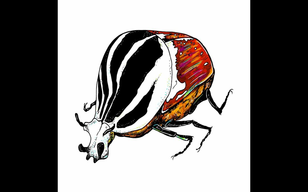 Artisticus 264 | The Goliath Beetle * Insects | Digital art * Drawing * Procreate * IPad Pro (2023)